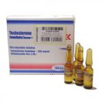 testosterone-buy-testosterone-enanthate-5x-1ml-250mg-ml-norma-hellas-s-a